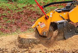 Best Tree Mulching  in Arlington, MN